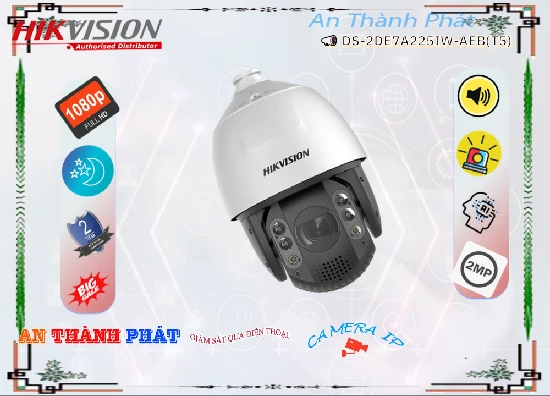 Lắp đặt camera tân phú Camera  Hikvision Thiết kế Đẹp DS-2DE7A225IW-AEB(T5)