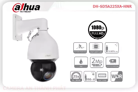 Lắp đặt camera tân phú Camera IP DAHUA DH-SD5A225XA-HNR